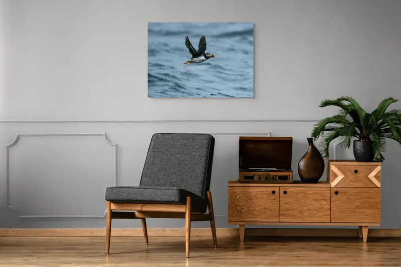 Tablou Canvas, "Zborul pufinului deasupra mării", Puffin, Zbor, Ocean, Pene, Aripi, Cer, Valuri, Natura, Libertate, Eleganta, 100 x 70 cm – poza 8