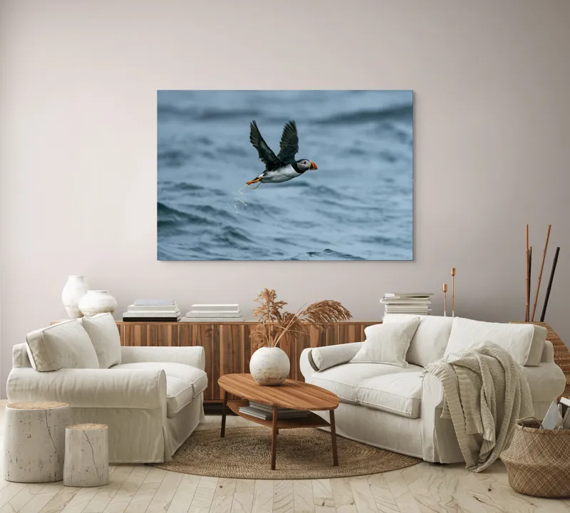 Tablou Canvas, "Zborul pufinului deasupra mării", Puffin, Zbor, Ocean, Pene, Aripi, Cer, Valuri, Natura, Libertate, Eleganta, 150 x 100 cm – poza 3