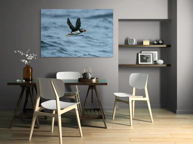 Tablou Canvas, "Zborul pufinului deasupra mării", Puffin, Zbor, Ocean, Pene, Aripi, Cer, Valuri, Natura, Libertate, Eleganta, 150 x 100 cm – poza 5
