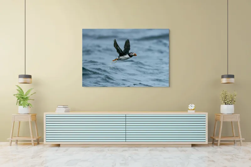 Tablou Canvas, "Zborul pufinului deasupra mării", Puffin, Zbor, Ocean, Pene, Aripi, Cer, Valuri, Natura, Libertate, Eleganta, 150 x 100 cm – poza 6
