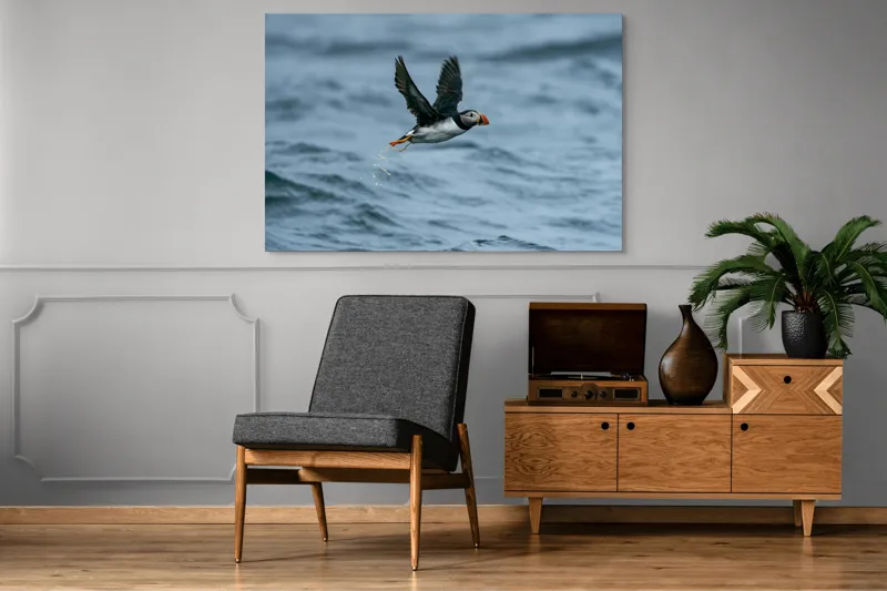 Tablou Canvas, "Zborul pufinului deasupra mării", Puffin, Zbor, Ocean, Pene, Aripi, Cer, Valuri, Natura, Libertate, Eleganta, 150 x 100 cm – poza 8