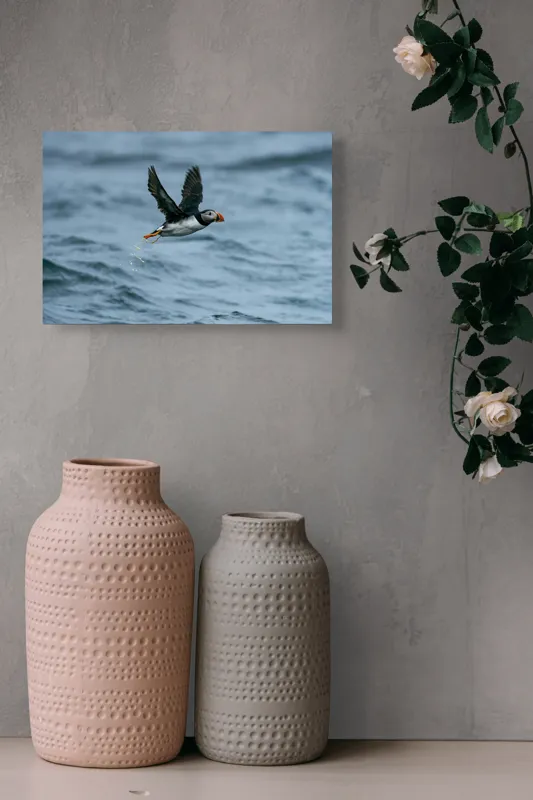 Tablou Canvas, "Zborul pufinului deasupra mării", Puffin, Zbor, Ocean, Pene, Aripi, Cer, Valuri, Natura, Libertate, Eleganta, 39 x 26 cm – poza 4
