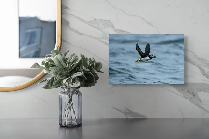 Tablou Canvas, "Zborul pufinului deasupra mării", Puffin, Zbor, Ocean, Pene, Aripi, Cer, Valuri, Natura, Libertate, Eleganta, 39 x 26 cm – poza 5