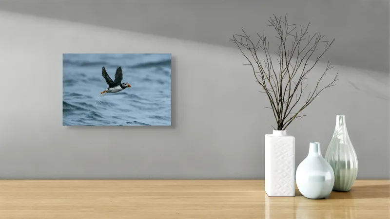 Tablou Canvas, "Zborul pufinului deasupra mării", Puffin, Zbor, Ocean, Pene, Aripi, Cer, Valuri, Natura, Libertate, Eleganta, 39 x 26 cm – poza 8