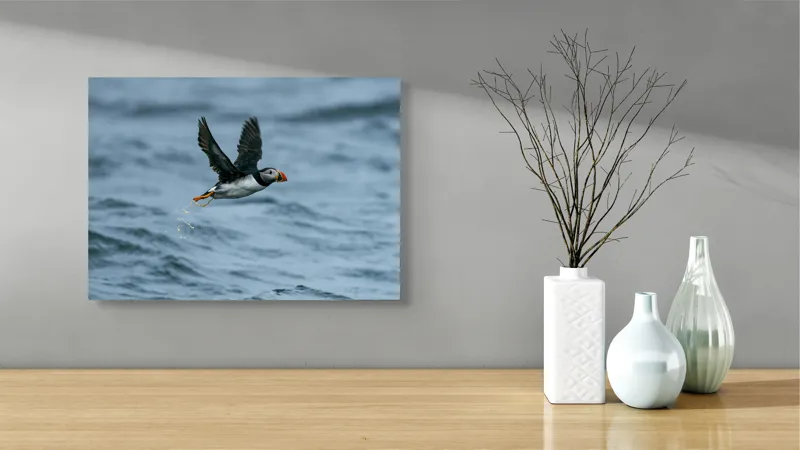 Tablou Canvas, "Zborul pufinului deasupra mării", Puffin, Zbor, Ocean, Pene, Aripi, Cer, Valuri, Natura, Libertate, Eleganta, 54 x 39 cm – poza 3