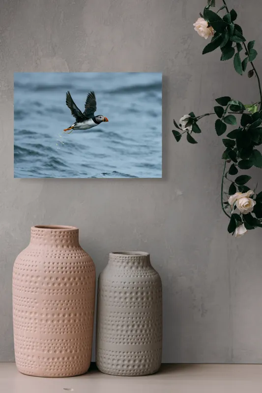Tablou Canvas, "Zborul pufinului deasupra mării", Puffin, Zbor, Ocean, Pene, Aripi, Cer, Valuri, Natura, Libertate, Eleganta, 54 x 39 cm – poza 8