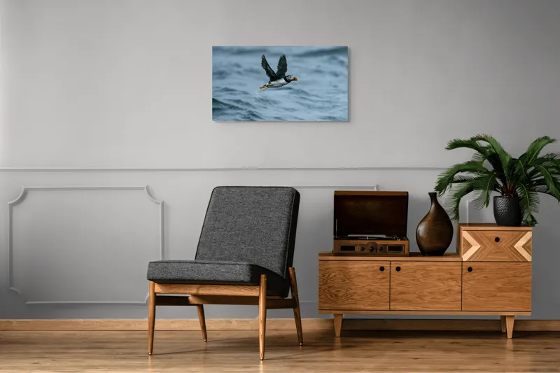 Tablou Canvas, "Zborul pufinului deasupra mării", Puffin, Zbor, Ocean, Pene, Aripi, Cer, Valuri, Natura, Libertate, Eleganta, 90 x 50 cm – poza 6