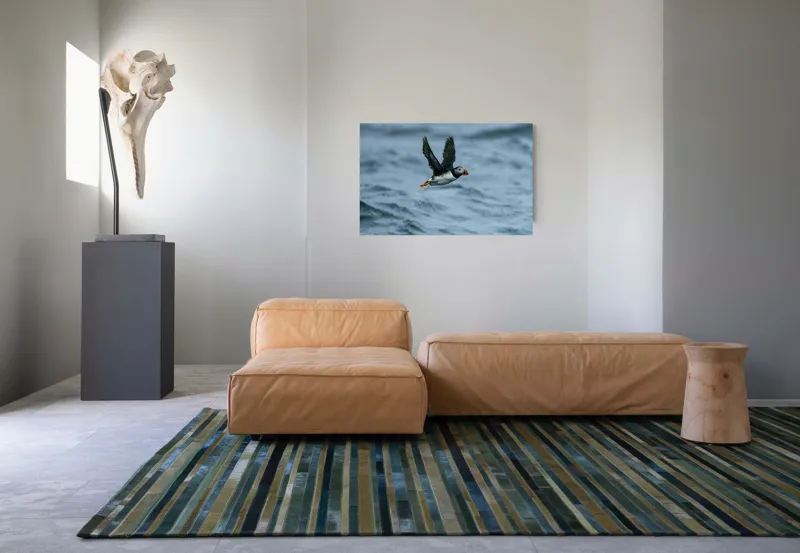Tablou Canvas, "Zborul pufinului deasupra mării", Puffin, Zbor, Ocean, Pene, Aripi, Cer, Valuri, Natura, Libertate, Eleganta, 90 x 50 cm – poza 8