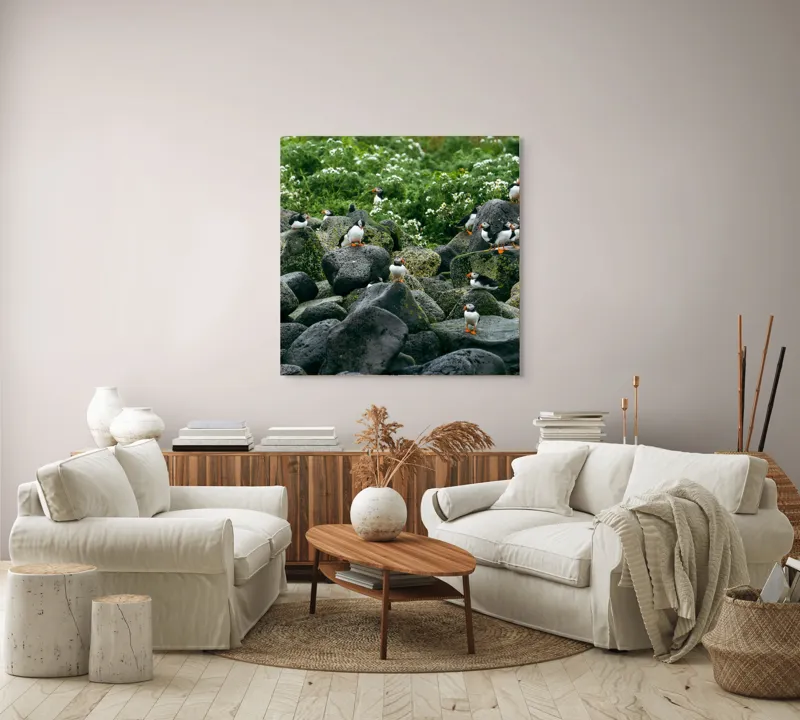 Tablou Canvas, "Colonie de puffini pe stânci verzi", Puffins, Stânci, Verdeață, Flori, Păsări, Ocean, Natură, Peisaj, Culoare, Viață., 100 x 100 cm – poza 3