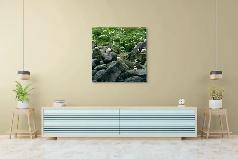 Tablou Canvas, "Colonie de puffini pe stânci verzi", Puffins, Stânci, Verdeață, Flori, Păsări, Ocean, Natură, Peisaj, Culoare, Viață., 100 x 100 cm – poza 5