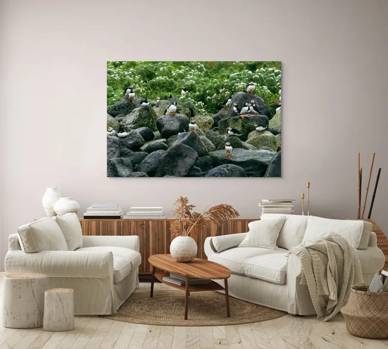 Tablou Canvas, "Colonie de puffini pe stânci verzi", Puffins, Stânci, Verdeață, Flori, Păsări, Ocean, Natură, Peisaj, Culoare, Viață., 150 x 100 cm – poza 3