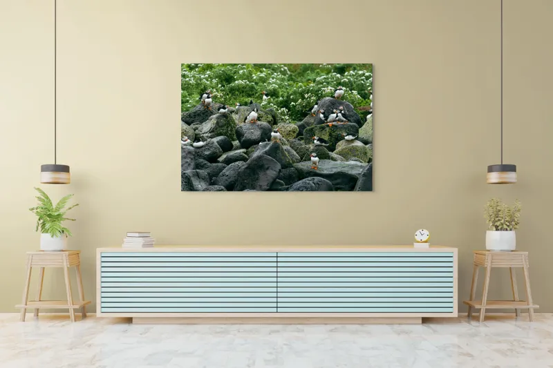 Tablou Canvas, "Colonie de puffini pe stânci verzi", Puffins, Stânci, Verdeață, Flori, Păsări, Ocean, Natură, Peisaj, Culoare, Viață., 150 x 100 cm – poza 6