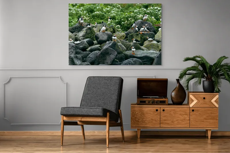 Tablou Canvas, "Colonie de puffini pe stânci verzi", Puffins, Stânci, Verdeață, Flori, Păsări, Ocean, Natură, Peisaj, Culoare, Viață., 150 x 100 cm – poza 8