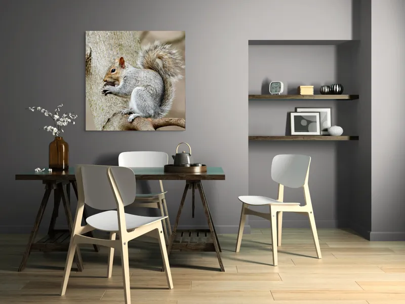 Tablou Canvas, "Veveriță mâncând o nucă pe creangă", Pufos, Drăgălaş, Veveriţă, Copac, Coada, Gri, Natură, Ramură, Blană, 100 x 100 cm – poza 6