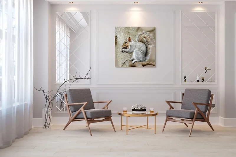 Tablou Canvas, "Veveriță mâncând o nucă pe creangă", Pufos, Drăgălaş, Veveriţă, Copac, Coada, Gri, Natură, Ramură, Blană, 100 x 100 cm – poza 7