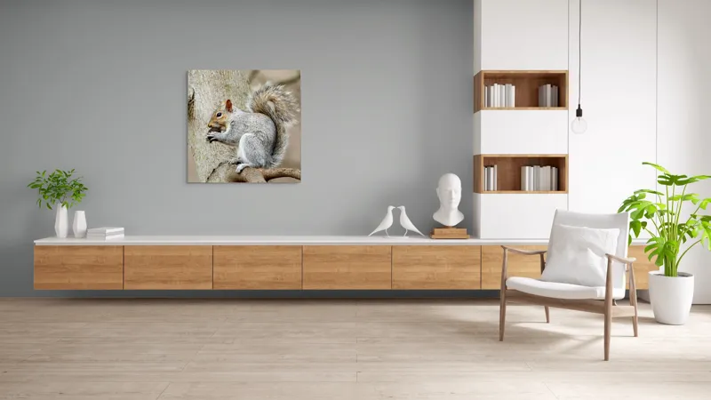 Tablou Canvas, "Veveriță mâncând o nucă pe creangă", Pufos, Drăgălaş, Veveriţă, Copac, Coada, Gri, Natură, Ramură, Blană, 100 x 100 cm – poza 8