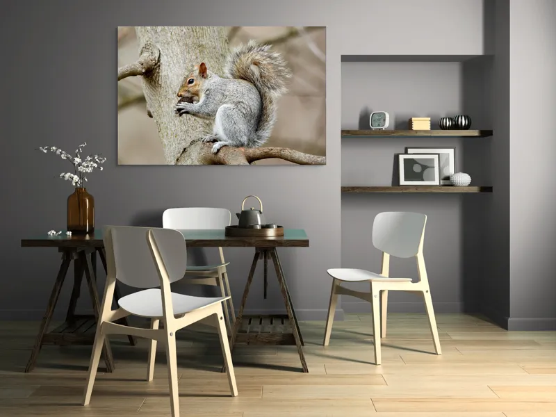 Tablou Canvas, "Veveriță mâncând o nucă pe creangă", Pufos, Drăgălaş, Veveriţă, Copac, Coada, Gri, Natură, Ramură, Blană, 150 x 100 cm – poza 5