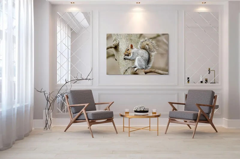Tablou Canvas, "Veveriță mâncând o nucă pe creangă", Pufos, Drăgălaş, Veveriţă, Copac, Coada, Gri, Natură, Ramură, Blană, 150 x 100 cm – poza 7