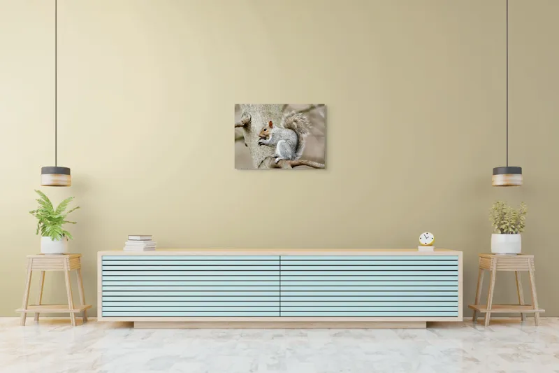 Tablou Canvas, "Veveriță mâncând o nucă pe creangă", Pufos, Drăgălaş, Veveriţă, Copac, Coada, Gri, Natură, Ramură, Blană, 70 x 50 cm – poza 7