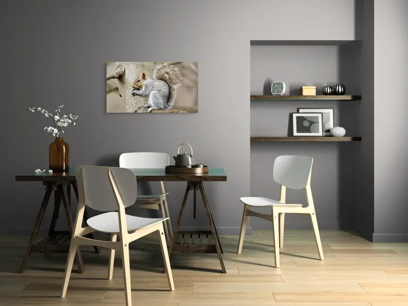 Tablou Canvas, "Veveriță mâncând o nucă pe creangă", Pufos, Drăgălaş, Veveriţă, Copac, Coada, Gri, Natură, Ramură, Blană, 90 x 50 cm – poza 3