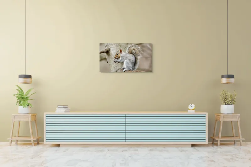 Tablou Canvas, "Veveriță mâncând o nucă pe creangă", Pufos, Drăgălaş, Veveriţă, Copac, Coada, Gri, Natură, Ramură, Blană, 90 x 50 cm – poza 5