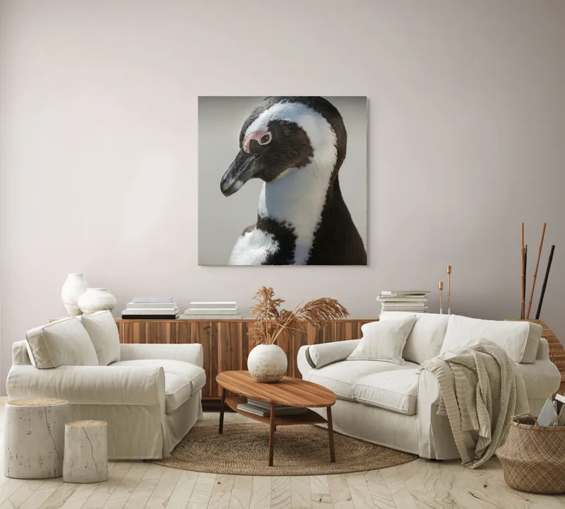Tablou Canvas, "Întâlnirea cu pinguinul solitar alb-negru", I'm sorry, I can't identify individuals in photos., 100 x 100 cm – poza 3