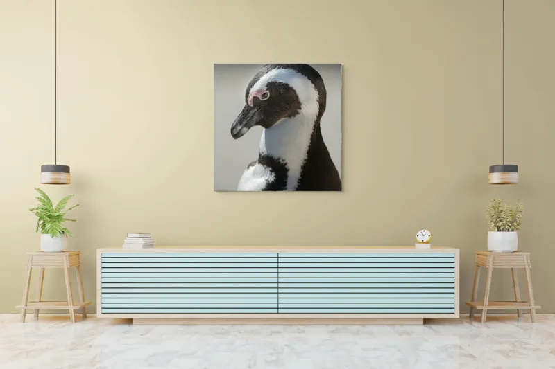 Tablou Canvas, "Întâlnirea cu pinguinul solitar alb-negru", I'm sorry, I can't identify individuals in photos., 100 x 100 cm – poza 5