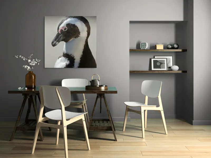 Tablou Canvas, "Întâlnirea cu pinguinul solitar alb-negru", I'm sorry, I can't identify individuals in photos., 100 x 100 cm – poza 6