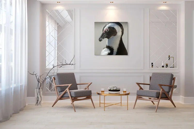Tablou Canvas, "Întâlnirea cu pinguinul solitar alb-negru", I'm sorry, I can't identify individuals in photos., 100 x 100 cm – poza 7