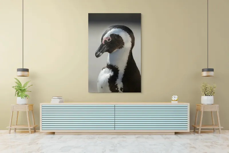 Tablou Canvas, "Întâlnirea cu pinguinul solitar alb-negru", 100 x 150 cm – poza 4