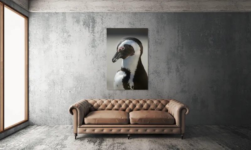 Tablou Canvas, "Întâlnirea cu pinguinul solitar alb-negru", 100 x 150 cm – poza 6