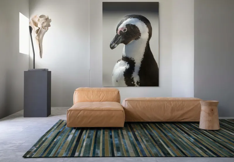 Tablou Canvas, "Întâlnirea cu pinguinul solitar alb-negru", 100 x 150 cm – poza 7