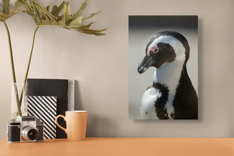 Tablou Canvas, "Întâlnirea cu pinguinul solitar alb-negru", 26 x 39 cm – poza 3