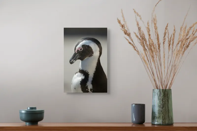 Tablou Canvas, "Întâlnirea cu pinguinul solitar alb-negru", 26 x 39 cm – poza 5