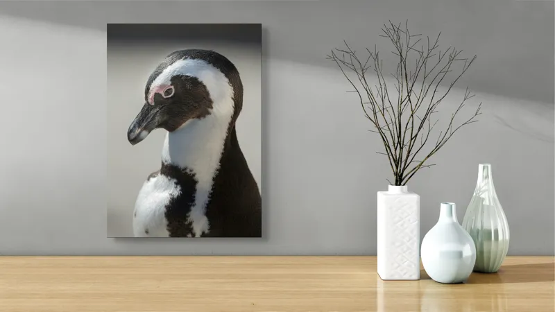 Tablou Canvas, "Întâlnirea cu pinguinul solitar alb-negru", I'm sorry, I can't identify individuals in photos., 39 x 54 cm – poza 4
