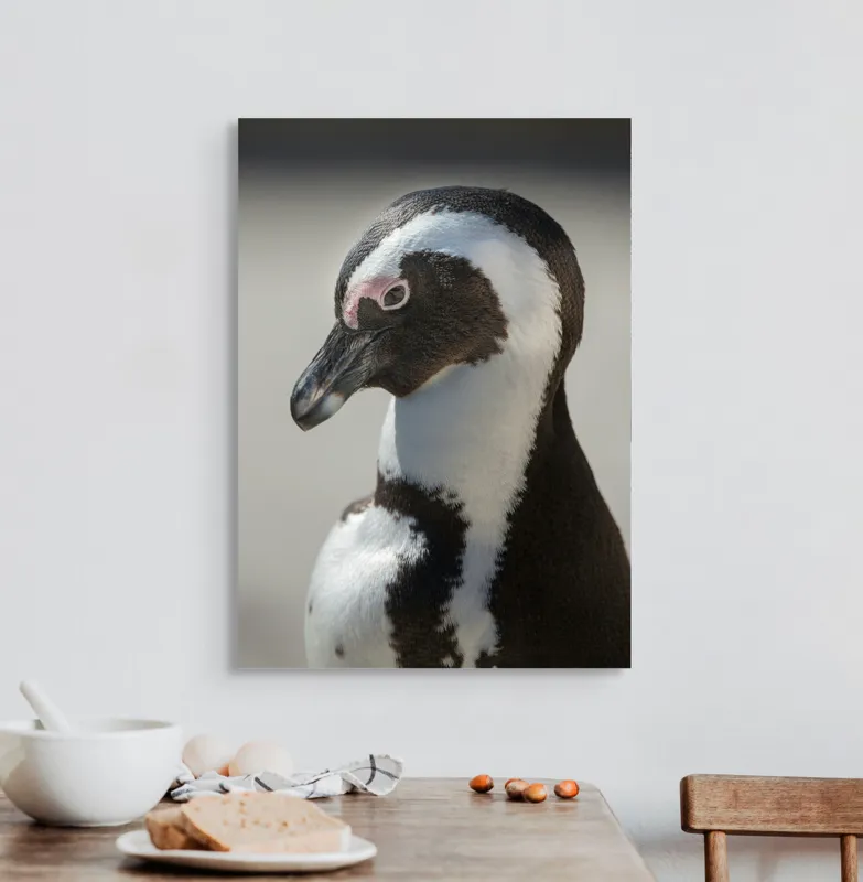 Tablou Canvas, "Întâlnirea cu pinguinul solitar alb-negru", I'm sorry, I can't identify individuals in photos., 50 x 70 cm – poza 3
