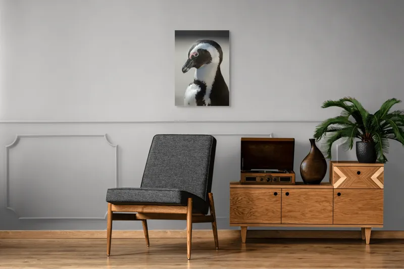 Tablou Canvas, "Întâlnirea cu pinguinul solitar alb-negru", I'm sorry, I can't identify individuals in photos., 50 x 70 cm – poza 8