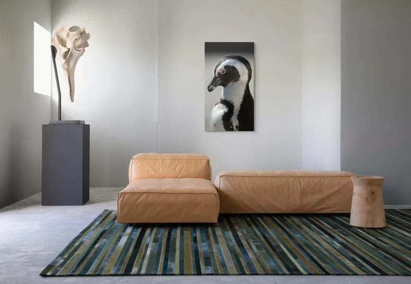 Tablou Canvas, "Întâlnirea cu pinguinul solitar alb-negru", 50 x 90 cm – poza 5