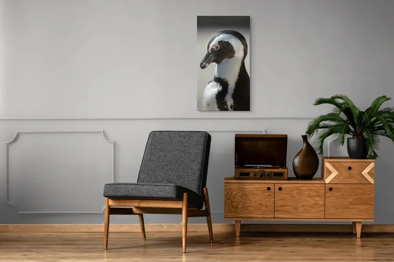 Tablou Canvas, "Întâlnirea cu pinguinul solitar alb-negru", 50 x 90 cm – poza 8