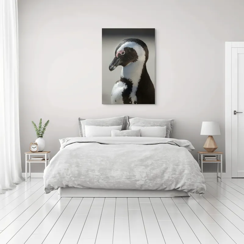 Tablou Canvas, "Întâlnirea cu pinguinul solitar alb-negru", I'm sorry, I can't identify individuals in photos., 70 x 100 cm – poza 3