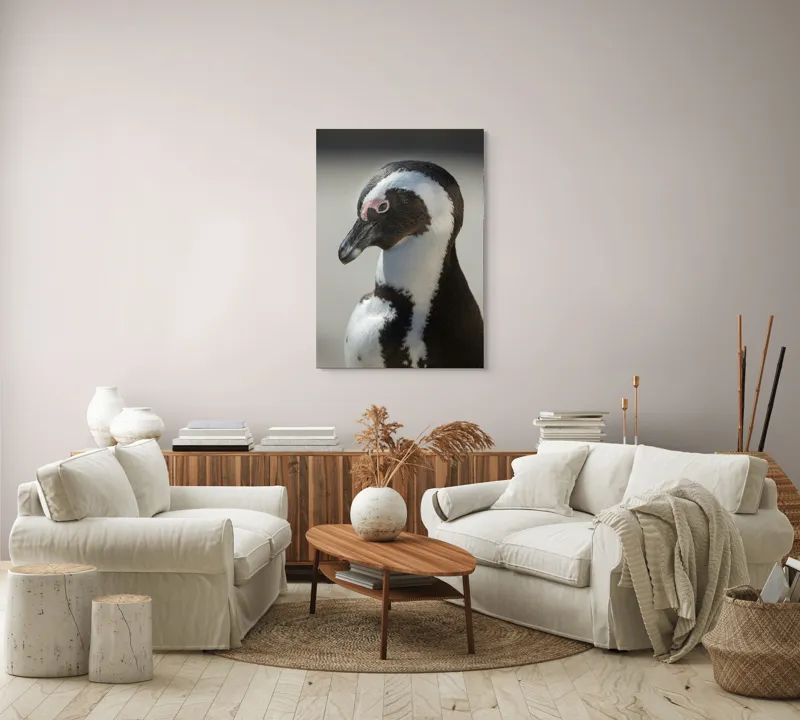 Tablou Canvas, "Întâlnirea cu pinguinul solitar alb-negru", I'm sorry, I can't identify individuals in photos., 70 x 100 cm – poza 4