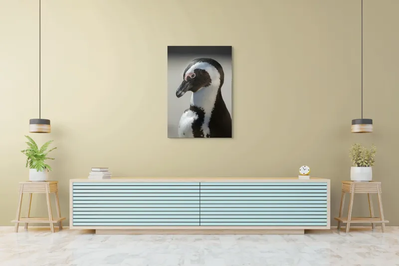 Tablou Canvas, "Întâlnirea cu pinguinul solitar alb-negru", I'm sorry, I can't identify individuals in photos., 70 x 100 cm – poza 5