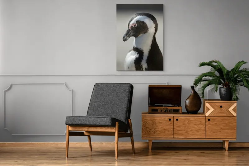 Tablou Canvas, "Întâlnirea cu pinguinul solitar alb-negru", I'm sorry, I can't identify individuals in photos., 70 x 100 cm – poza 6