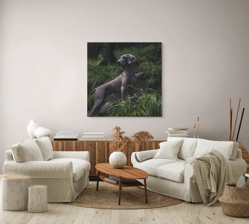Tablou Canvas, "Câinele în pădurea întunecată", Majestic, Vigilant, Canine, Forest, Graceful, Alert, Stature, Nature, 100 x 100 cm – poza 3
