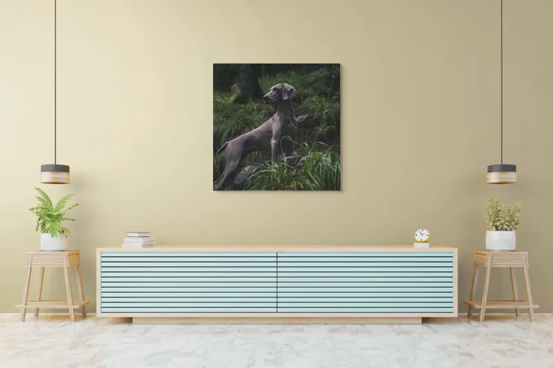 Tablou Canvas, "Câinele în pădurea întunecată", Majestic, Vigilant, Canine, Forest, Graceful, Alert, Stature, Nature, 100 x 100 cm – poza 5