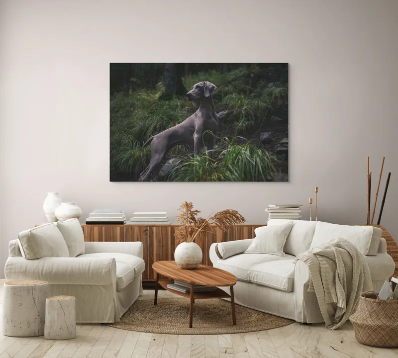 Tablou Canvas, "Câinele în pădurea întunecată", Majestic, Vigilant, Canine, Forest, Graceful, Alert, Stature, Nature, 150 x 100 cm – poza 3