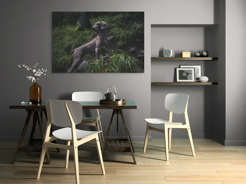 Tablou Canvas, "Câinele în pădurea întunecată", Majestic, Vigilant, Canine, Forest, Graceful, Alert, Stature, Nature, 150 x 100 cm – poza 5