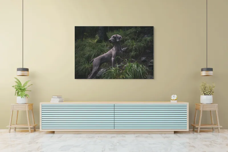 Tablou Canvas, "Câinele în pădurea întunecată", Majestic, Vigilant, Canine, Forest, Graceful, Alert, Stature, Nature, 150 x 100 cm – poza 6