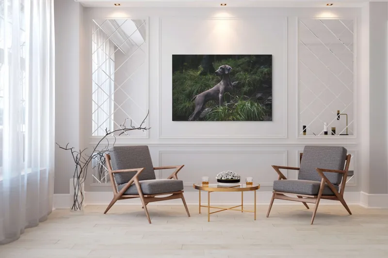 Tablou Canvas, "Câinele în pădurea întunecată", Majestic, Vigilant, Canine, Forest, Graceful, Alert, Stature, Nature, 150 x 100 cm – poza 7