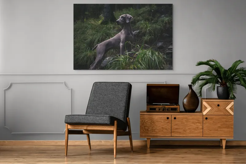Tablou Canvas, "Câinele în pădurea întunecată", Majestic, Vigilant, Canine, Forest, Graceful, Alert, Stature, Nature, 150 x 100 cm – poza 8